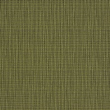 Parrot Swatch Teaser